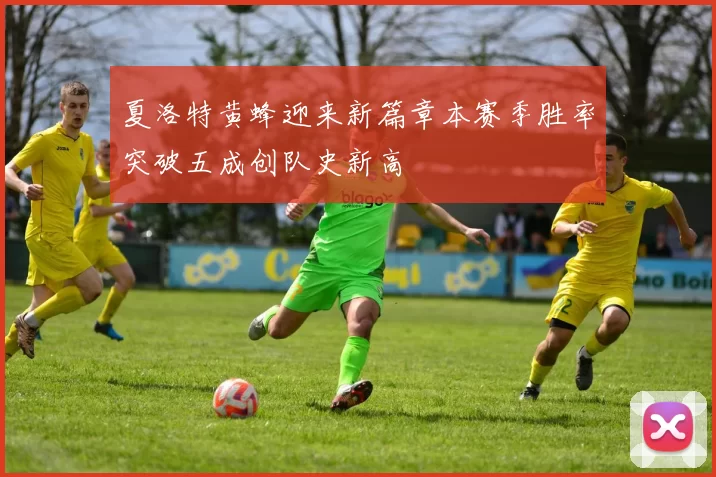 夏洛特黄蜂迎来新篇章本赛季胜率突破五成创队史新高
