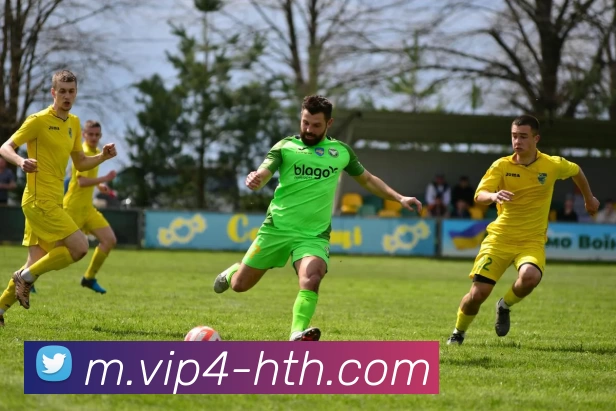 华体会服务体系